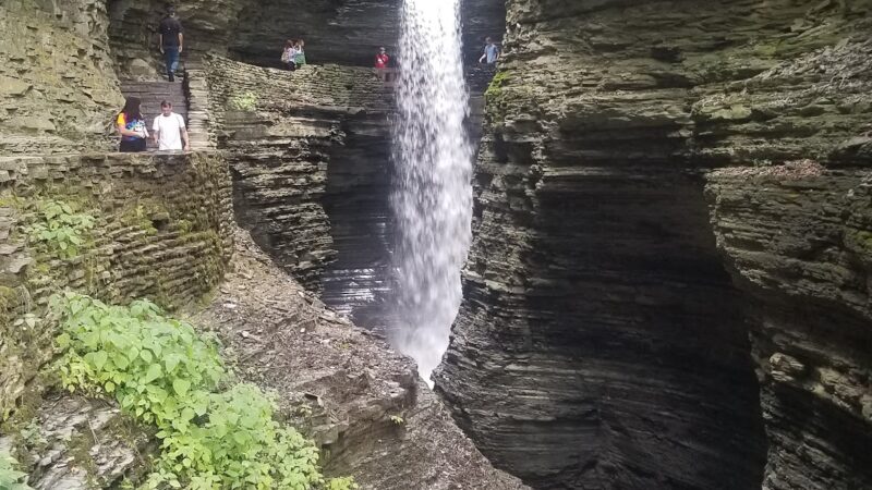 Catharine Creek Wildlife Management Area - Watkins Glen, NY