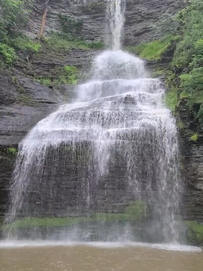 Catharine Creek Wildlife Management Area - Watkins Glen, NY