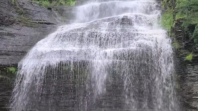 Catharine Creek Wildlife Management Area - Watkins Glen, NY