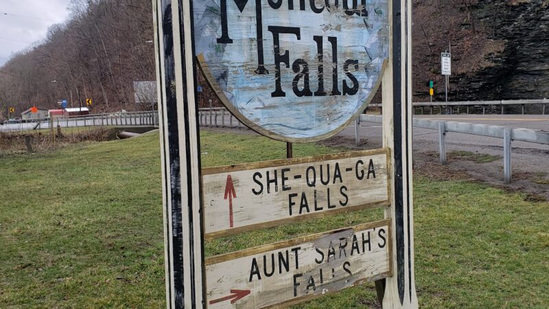 Catharine Creek Wildlife Management Area - Watkins Glen, NY