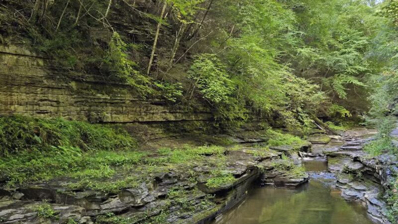 Watkins Glen Gorge Walk - Watkins Glen, NY
