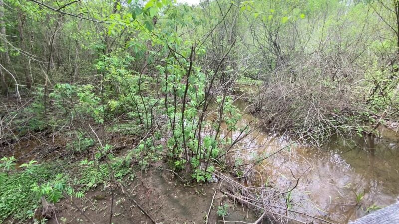 Harris Shoals Park - Watkinsville, GA