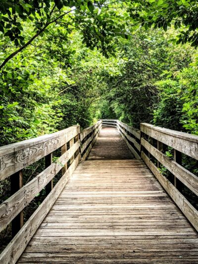 Harris Shoals Park - Watkinsville, GA