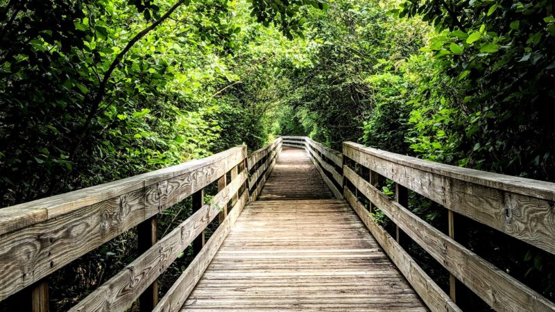 Harris Shoals Park - Watkinsville, GA