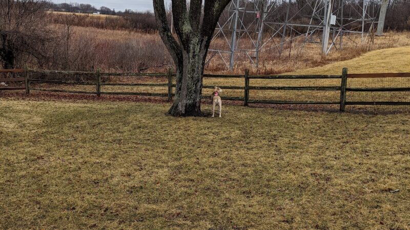 Callahan-Franklin Dog Exercise Area - Waukegan, IL