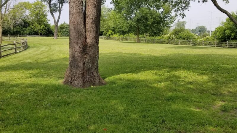 Callahan-Franklin Dog Exercise Area - Waukegan, IL