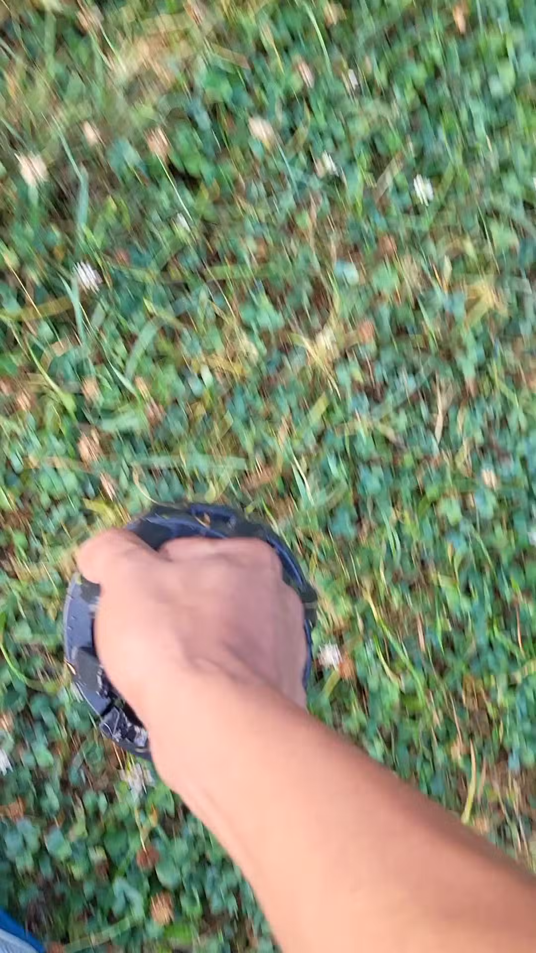 Larsen Nature Preserve And Dog Park - Waukegan, IL