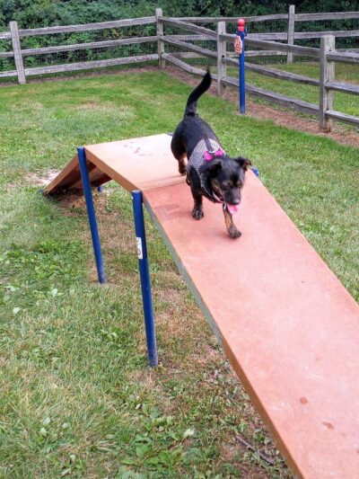 Larsen Nature Preserve And Dog Park - Waukegan, IL