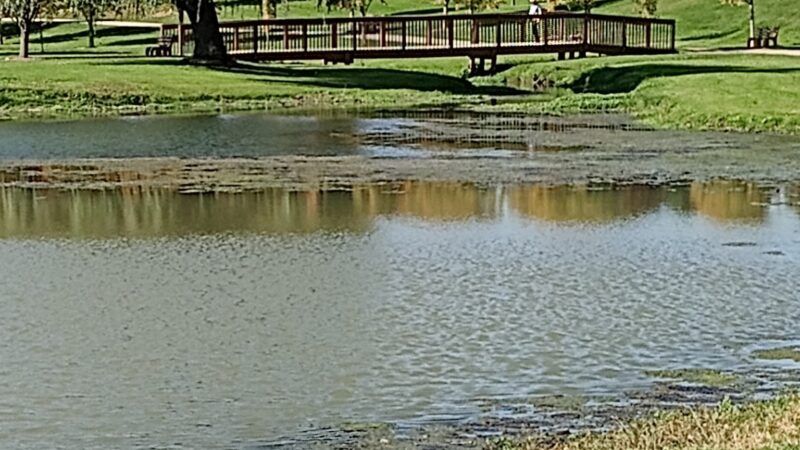 Waukon City Park - Waukon, IA