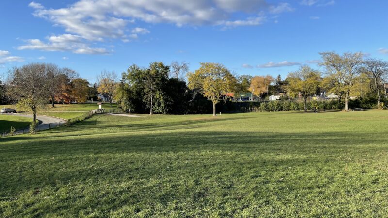 Currie Dog Park - Wauwatosa, WI