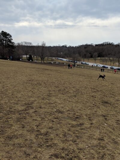 Currie Dog Park - Wauwatosa, WI