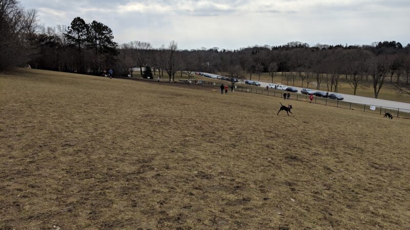 Currie Dog Park - Wauwatosa, WI