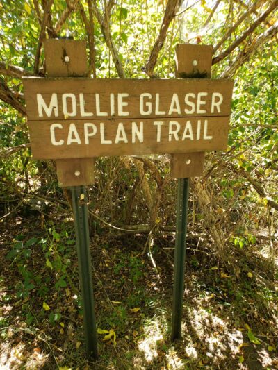 Carantouan Greenway Wildwood Nature Reserve - Waverly, NY