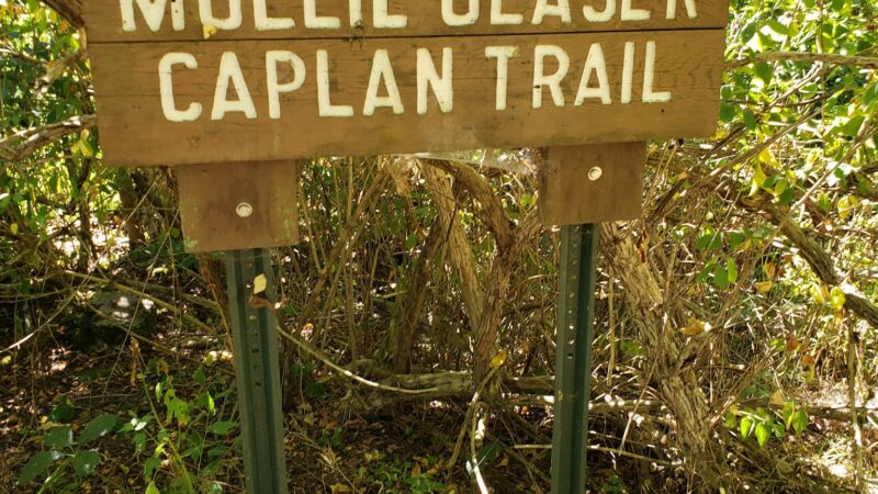 Carantouan Greenway Wildwood Nature Reserve - Waverly, NY
