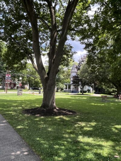 Muldoon Park Gazebo - Waverly, NY