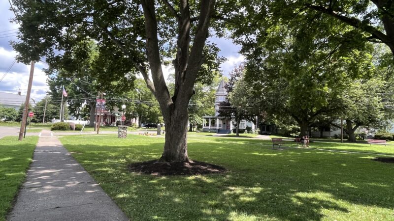 Muldoon Park Gazebo - Waverly, NY
