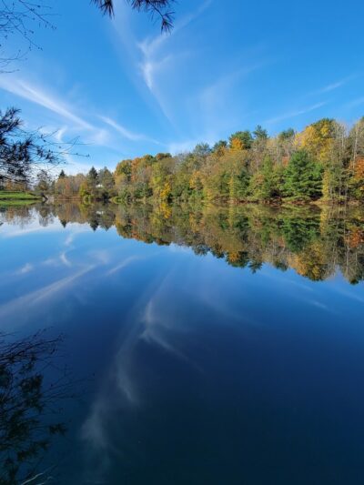 Two Rivers State Park Recreation Area - Waverly, NY