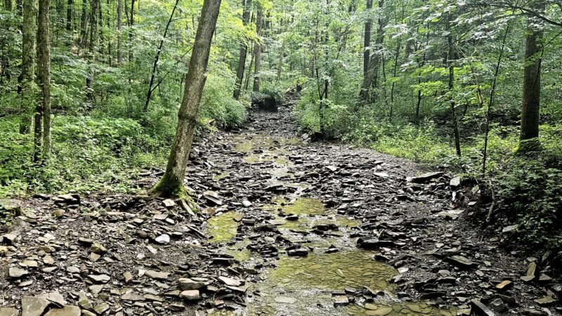 Two Rivers State Park Recreation Area - Waverly, NY