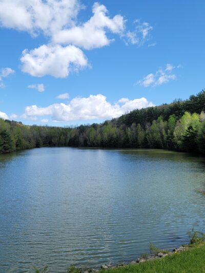 Waverly Glen Park - Waverly, NY