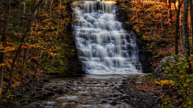 Waverly Glen Park - Waverly, NY