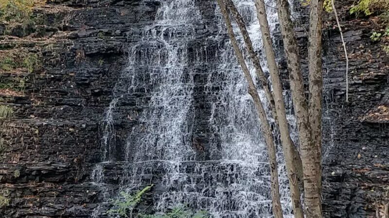 Waverly Glen Park - Waverly, NY