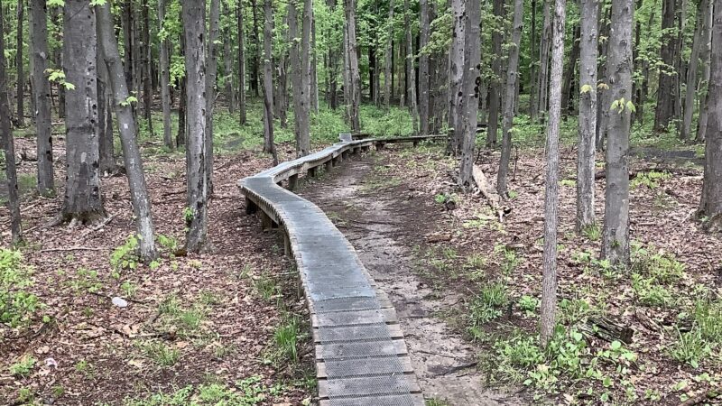 Lippman Park - Wawarsing, NY