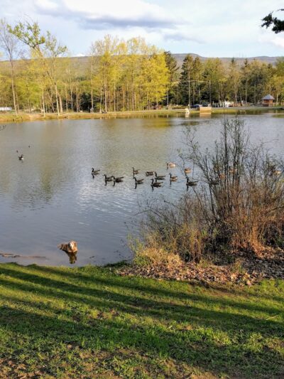 Lippman Park - Wawarsing, NY
