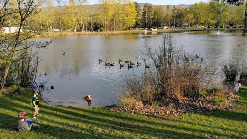 Lippman Park - Wawarsing, NY