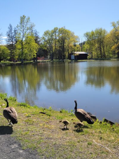 Lippman Park - Wawarsing, NY