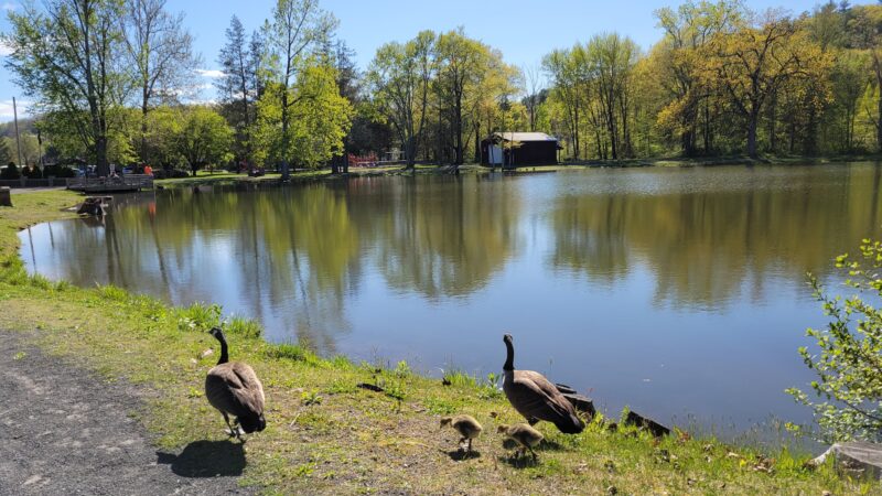 Lippman Park - Wawarsing, NY