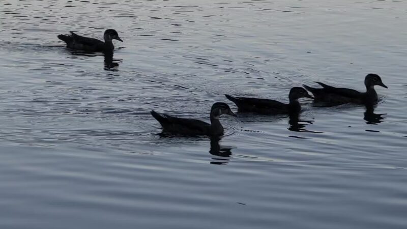 Lippman Park - Wawarsing, NY