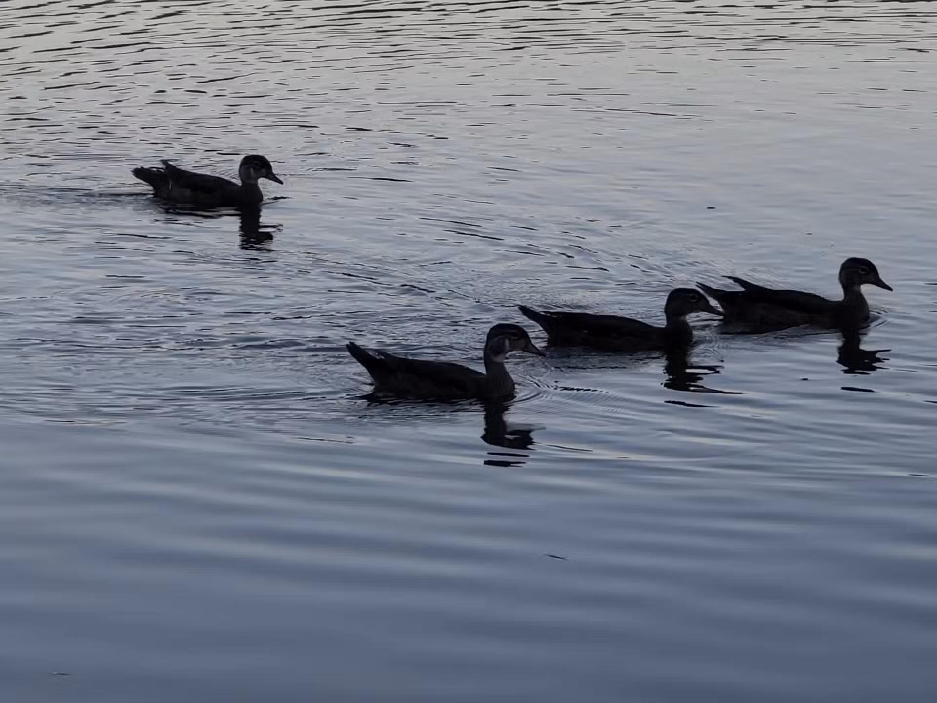 Lippman Park - Wawarsing, NY