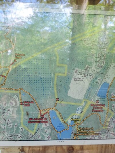 Hamlen Woods - Wayland, MA