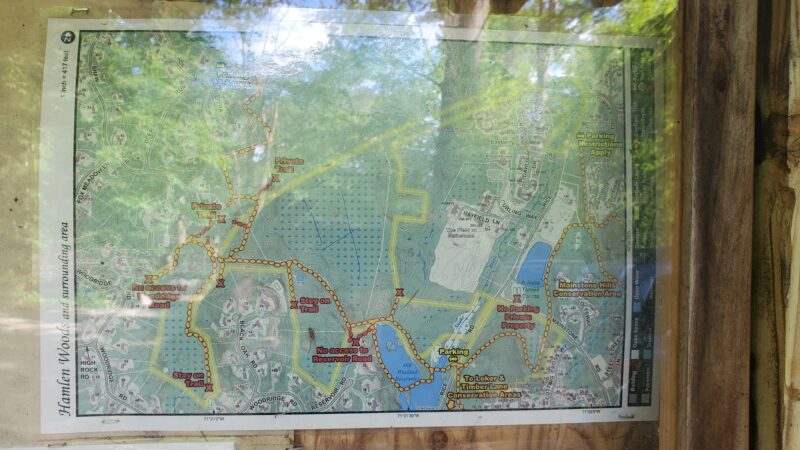 Hamlen Woods - Wayland, MA