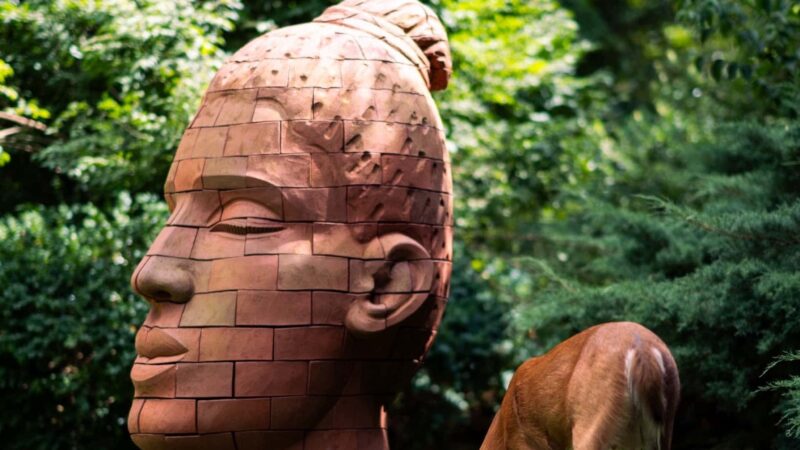 Laurelwood Arboretum - Wayne, NJ