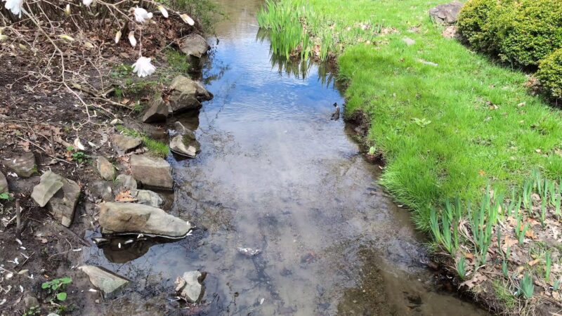 Laurelwood Arboretum - Wayne, NJ
