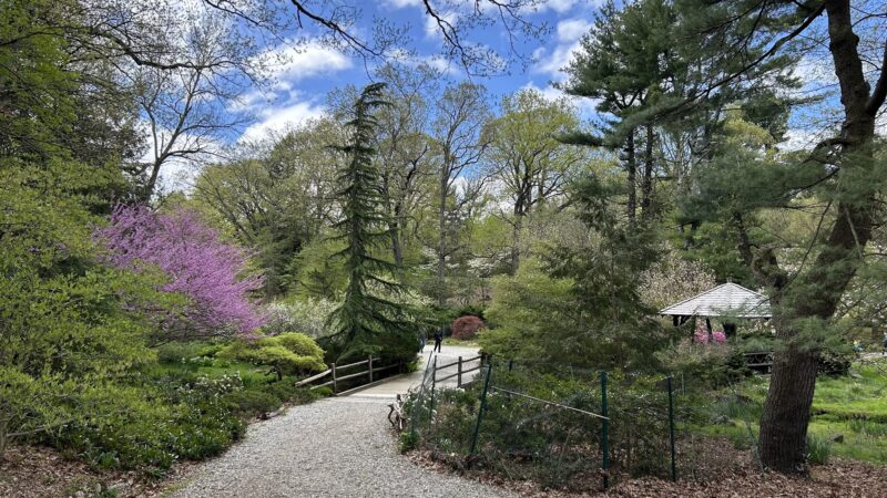 Laurelwood Arboretum - Wayne, NJ