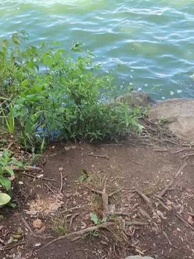 Terhune Memorial Park - Wayne, NJ