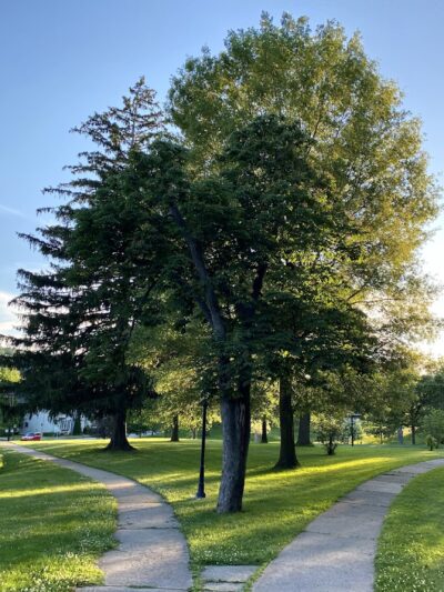 College Park - Waynesburg, PA