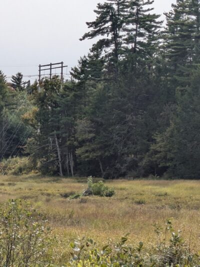 Ferrin Pond Reserve Parking - Weare, NH