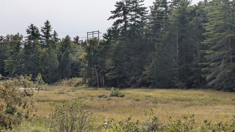 Ferrin Pond Reserve Parking - Weare, NH