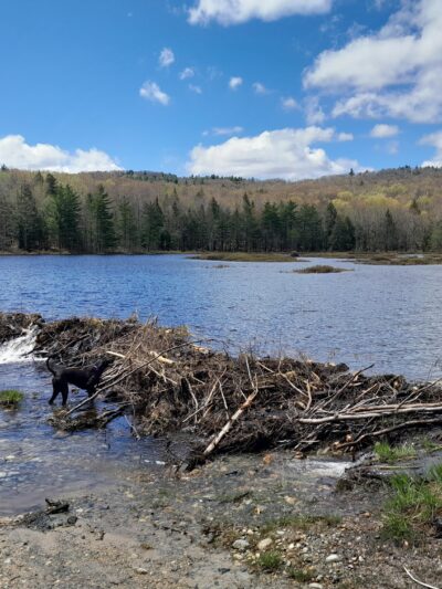 Ferrin Pond Reserve Parking - Weare, NH