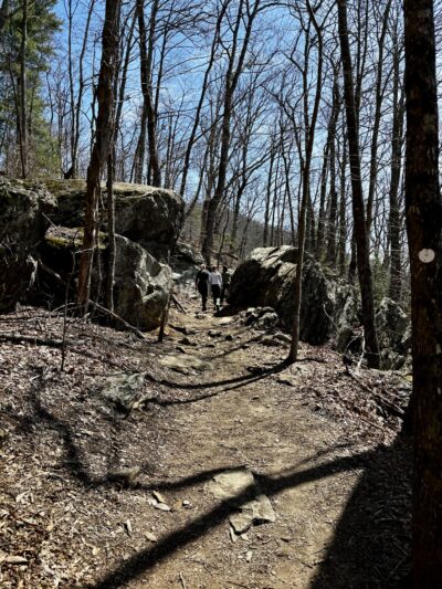 Rattlesnake Lodge - Weaverville, NC
