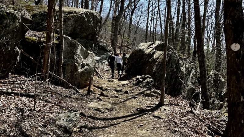 Rattlesnake Lodge - Weaverville, NC
