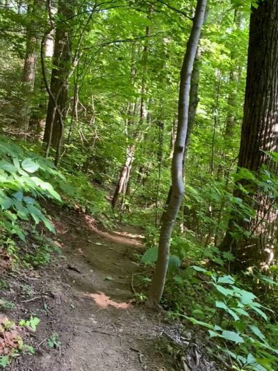 Rattlesnake Lodge - Weaverville, NC