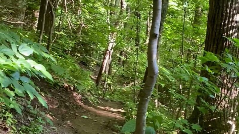 Rattlesnake Lodge - Weaverville, NC
