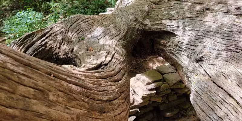 Rattlesnake Lodge - Weaverville, NC