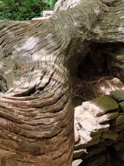 Rattlesnake Lodge - Weaverville, NC