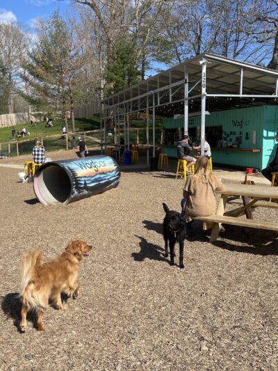 Wagbar - Weaverville, NC