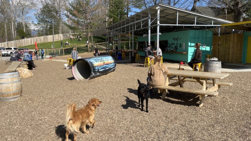 Wagbar - Weaverville, NC